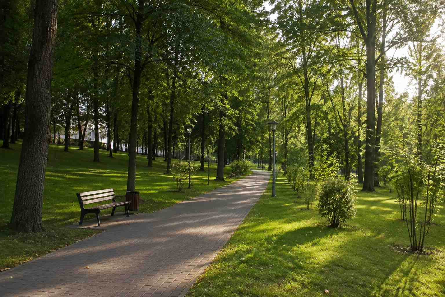 https://mytishchi.blago-s.ru/storage/app/uploads/public/6a7/eef/ed2/6a7eefed2af22038960370.jpg